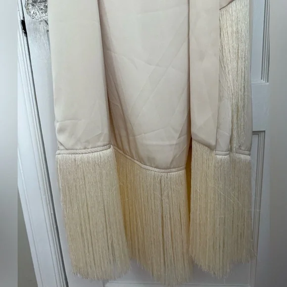 MOTF | NWT Belted Satin Fringe-Hem Dress - Picture 7 of 10